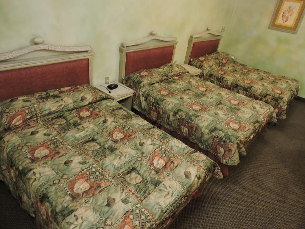 Hotel Quinta Cesar San Juan de los Lagos Εξωτερικό φωτογραφία